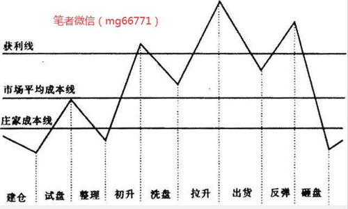 s开头的股票是什么股