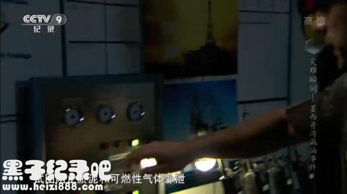 央视纪录片 灾难瞬间 全6集 国语配音中字字幕 720P高清