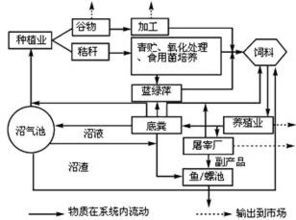 下面是一肽链结构示意图.下列有关叙述不正确的是 A.该肽链由4种氨基酸脱水缩合而成 B.图中含有的R基是②④⑥⑧ C.该肽链中含有4个游离的羧基 D.控制该肽链合成的mRNA 