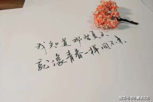 表达心碎想哭的伤感短句子,字字刺心,哪一句说中你的心事