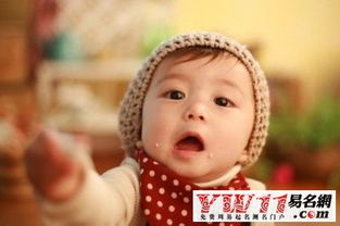 2011年美国100个最热宝宝英文名 