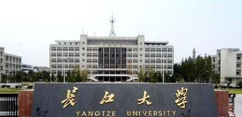 考研故事分享 她来自长江大学,以406高分,考研浙江大学成功