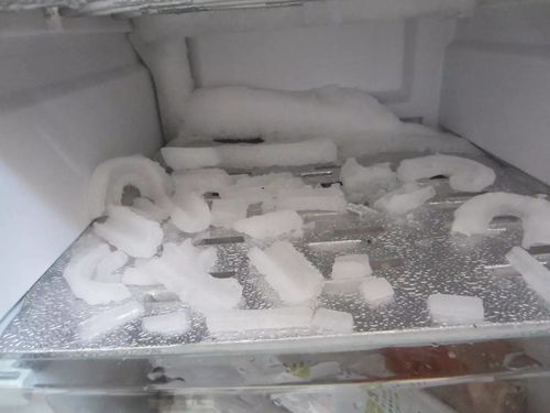 家里冰箱冷藏室总是结冰存水，这是什么原因造成的怎么解决(冰箱冷藏室结冰有水是什么原因?怎样处理?)