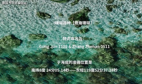 山河令 剧粉太壕气,海陆空式应援俱全 土豪粉为其买星星命名权