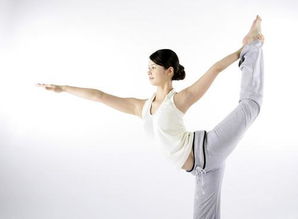 养生瑜伽 教你五式瑜伽强肾健腰 