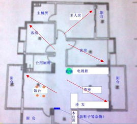 金鱼缸应该摆在家里什么位置 正文 