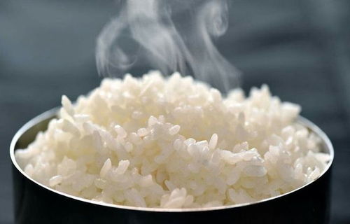 大米直接蒸,难怪米饭不好吃 教你5个技巧,颗颗油亮,香软可口 糯米 调料 糯米饭 网易订阅 