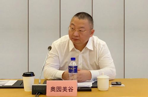 奥园美谷总裁胡冉谈企业高质量发展之路