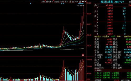 中国股市创业板上第一只真正意义上退市的股票是哪一只