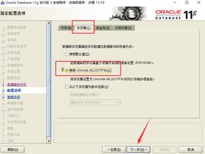 win10能不能安装oracle10g