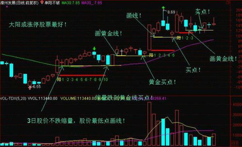 优秀股民应该有哪些投资理念