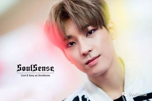 SoulSense 星志 像钻石一般闪耀的男团SEVENTEEN新专MV回归