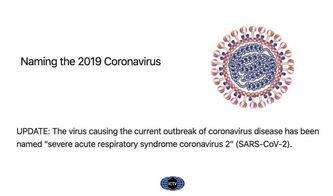 新冠病毒正式命名SARS CoV 2 与SARS病毒是 姐妹