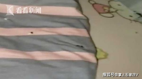 女生宿舍睡觉摸到一只老鼠,掀开床单全是 屎