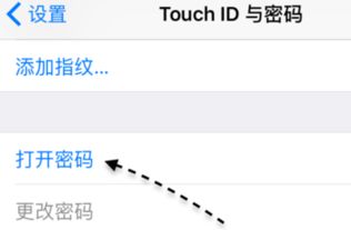 苹果6s怎么设置输入密码解锁屏幕不用再滑动 