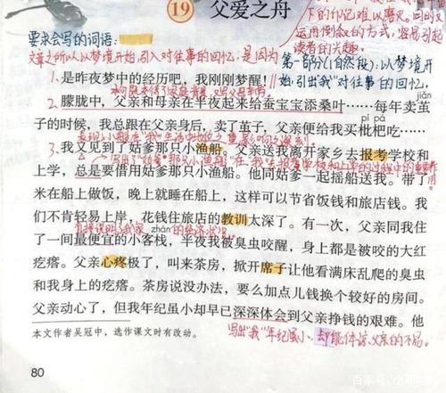 部编版五年级上册 父爱之舟 课前预习复习 课堂笔记 资料整理