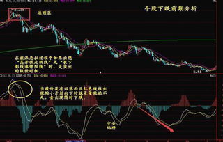 怎样才能在股市稳赚不赔