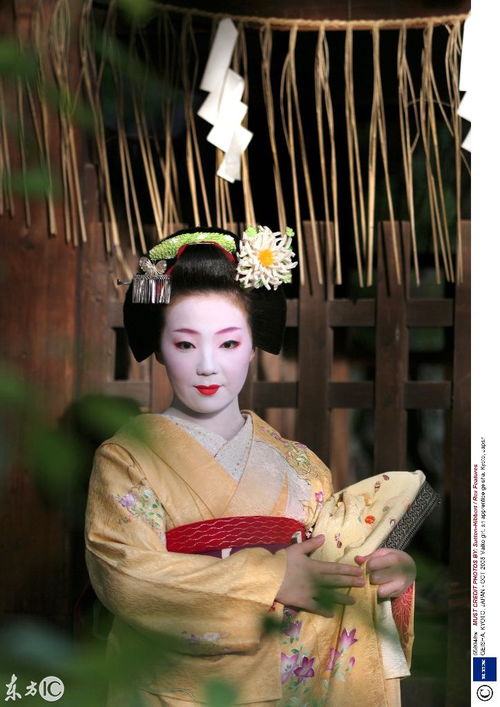 多图 神秘的日本艺妓 