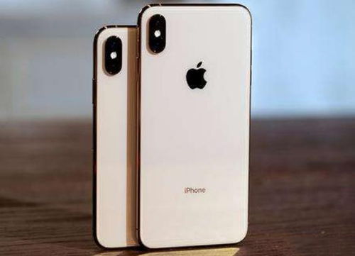 寻果网分享苹果iPhoneXSMax动态实时照片拍摄