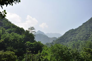 秦岭小峪夏日山色