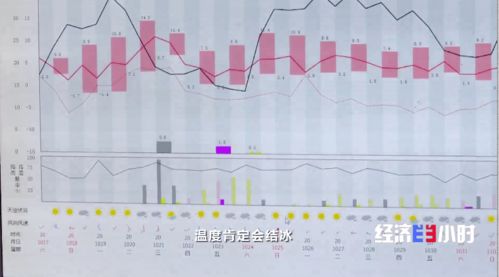 春逢疫情,夏遇台风 丰收时节冷空气频袭 这个地方却亩产增加130斤 咋回事