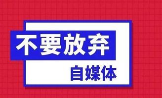 自媒体为什么有些人做着就放弃了 做自媒体要 坚持 坚持走下去