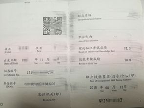 全国人力资源管理师网 (全国人力资源管理师网官方网址)