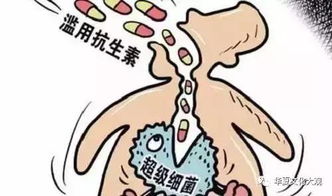 抗生素对病人能长久用吗(抗生素对病人能长久用吗知乎)