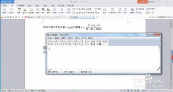wps公斤怎么输入，wps中怎么输入公式(wps如何输入公式计算)