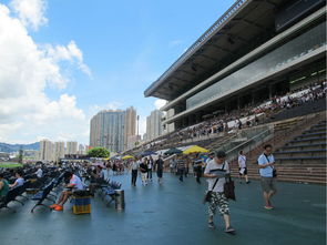 海量图 专贴香港冷门景点,别样的香港 ,香港旅游攻略 