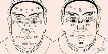 十二宫之相貌宫,教你 以貌识人