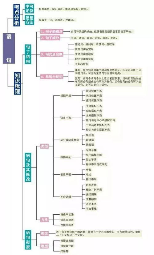 初中语文知识点大全