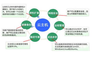 共享主机和云主机区别(云虚拟主机共享型)