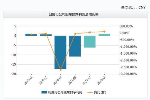 上市前，授予相关人员股票，但约定服务期限，这笔费用是需要摊销的？还是一次进成本?