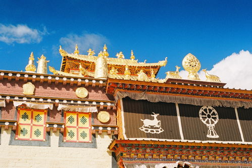 云南噶丹 松赞林寺唯美风景图片