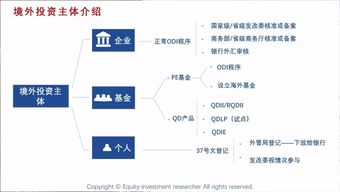 进行境外投资的投资目的是什么？