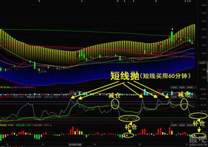 炒菜和炒股有什么不一样