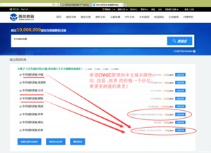 中文域名有用吗(中文域名的好处和重要性)