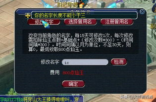 梦幻西游 小姐姐因其游戏名太 特殊 ,反而转服后无法免费改名