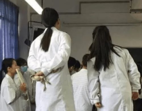 学医的女生有多 可怕 ,看完她们日常上课后,顿时觉得后背发凉