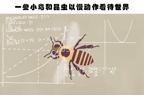 你不大可能在教科书里见到的10个有趣的冷知识