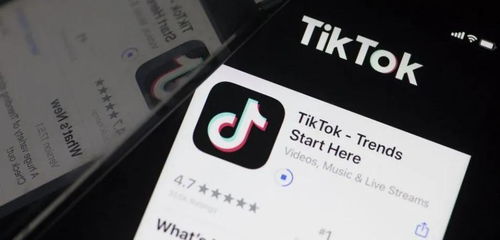tiktok国外现状_TikTok短影音行銷