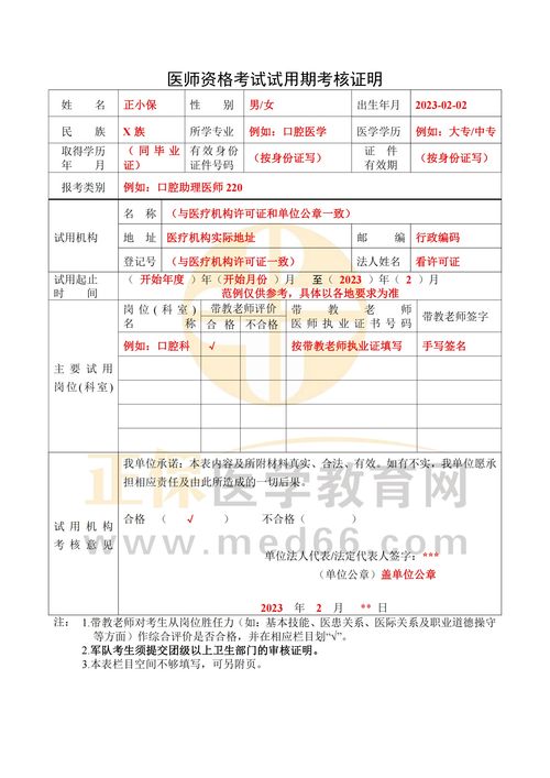 日清范文（试用期主要成绩怎么写？）