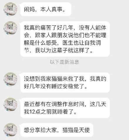 2只猫半夜狂骂人,知道原因后 全网羡慕