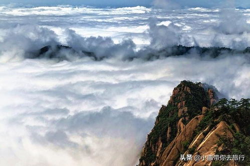 疫情后安徽好去处 颇闻黄山最奇秀,登山才知其中妙