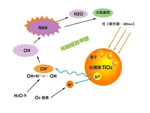 去除甲醛6种方法PK：光触媒时效短 开窗最管用