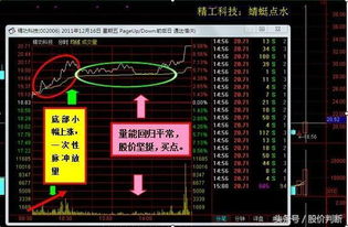 请问网上炒股怎么炒?我是一名新手，从未接触过股市，请教各位专家