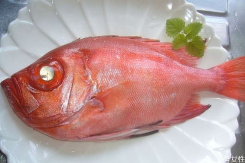 鱼眼睛有什么营养价值呢 吃鱼眼睛对人眼有好处吗
