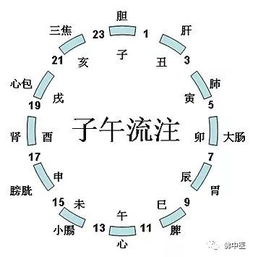 佛山资深营养科专家的健康养生秘笈 快收藏