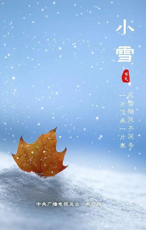 最低气温仅2 ,曲靖这两地今天下雪啦